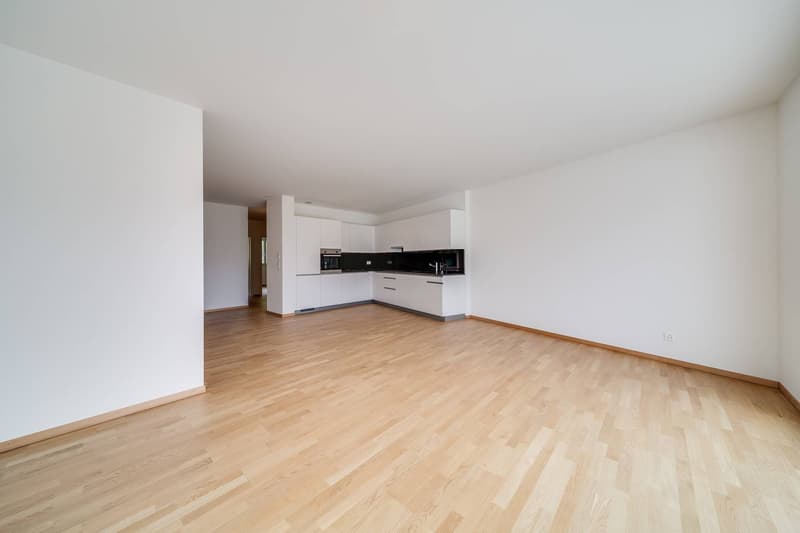 Spacious and bright 3.5-room apartment (3)