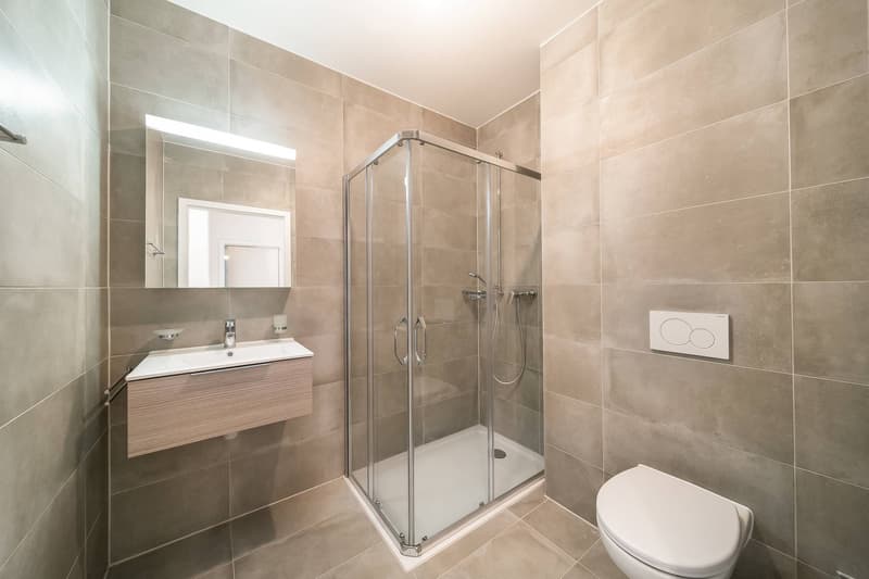 Spacious and bright 3.5-room apartment (9)