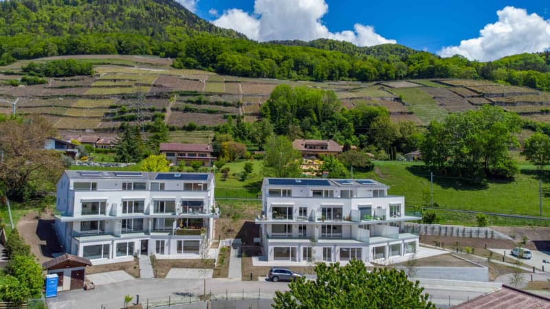 Beautiful 3.5-room apartment with large garden (2)