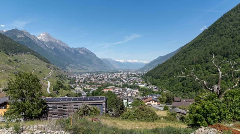 3 lotti edificabili - posizione ideale per un progetto immobiliare! (7)