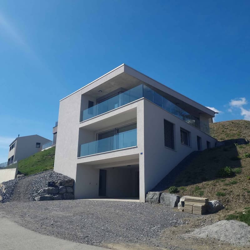 Magnificent contemporary 5.5-room villa (1)