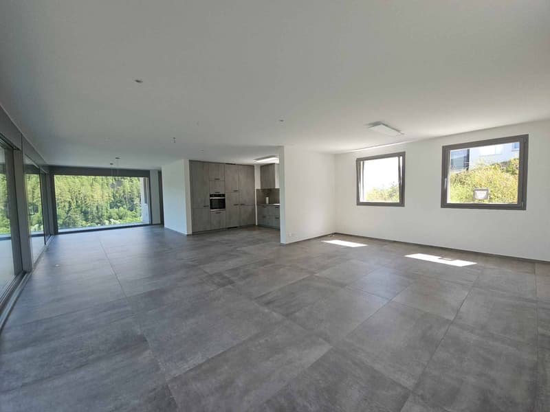 Magnificent contemporary 5.5-room villa (4)