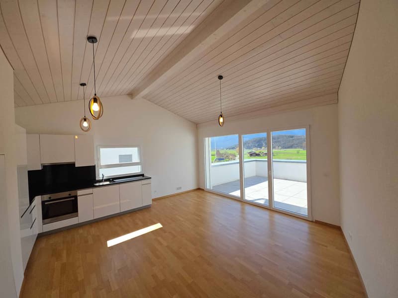 Spacious and bright 2.5-room attic (4)