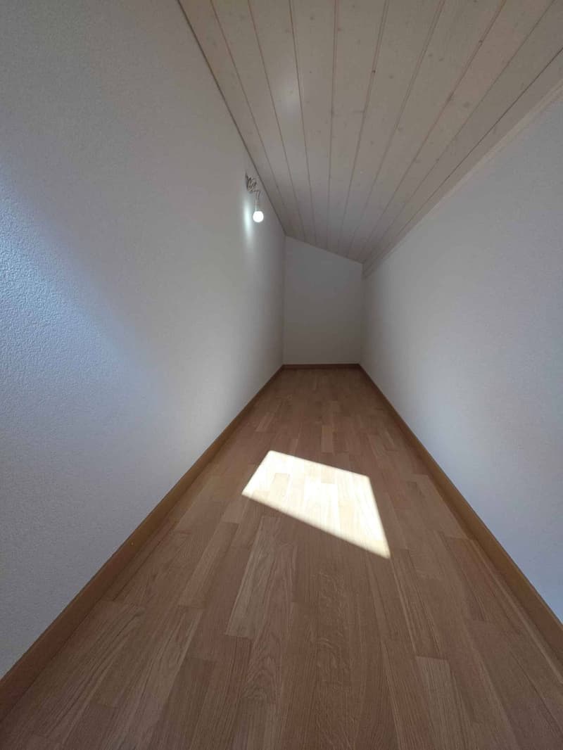 Spacious and bright 2.5-room attic (7)