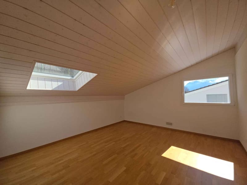 Spacious and bright 2.5-room attic (6)