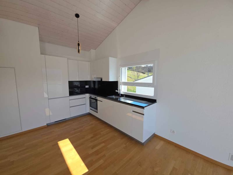 Spacious and bright 2.5-room attic (5)