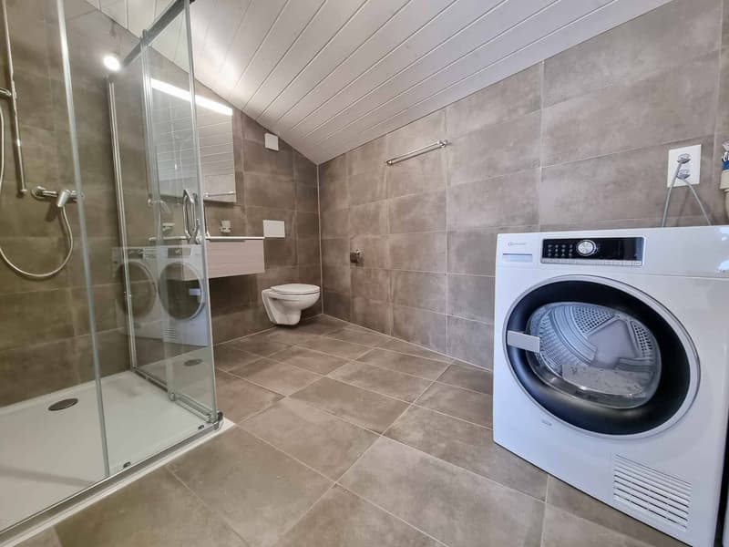 Spacious and bright 2.5-room attic (8)