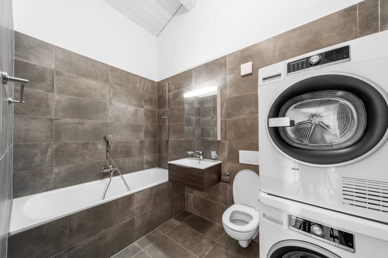 Spacious and bright 4.5-room attic apartment (4)