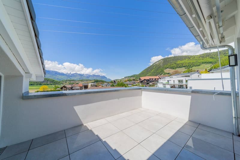 Spacious and bright 4.5-room attic apartment (2)