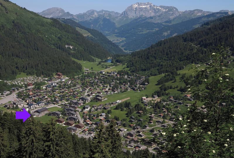 Alpine elegance in a 4.5-room exceptional apartment (5)