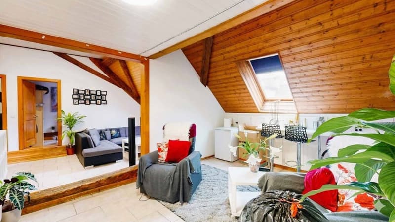 Spacious 5-room apartment with panoramic terrace (6)