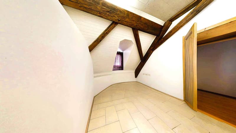 Spacious 5-room apartment with panoramic terrace (5)