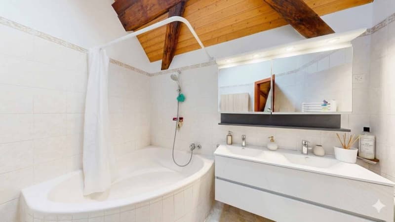 Spacious 5-room apartment with panoramic terrace (9)