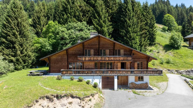 Chalet d'eccezione - Sci in/out (12)