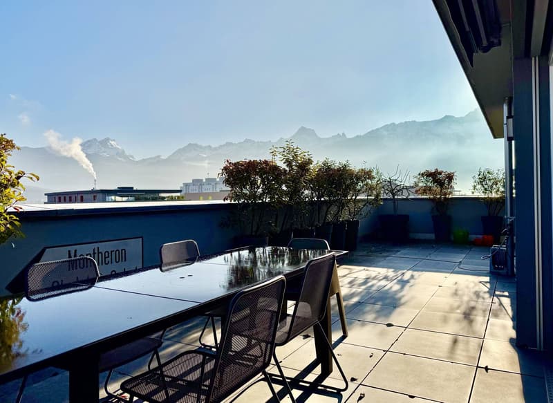 Mansarda 5.5 locali - terrazza panoramica di 106 m2 (1)