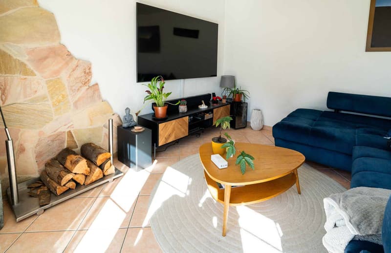 Magnificent 5.5-room villa (8)