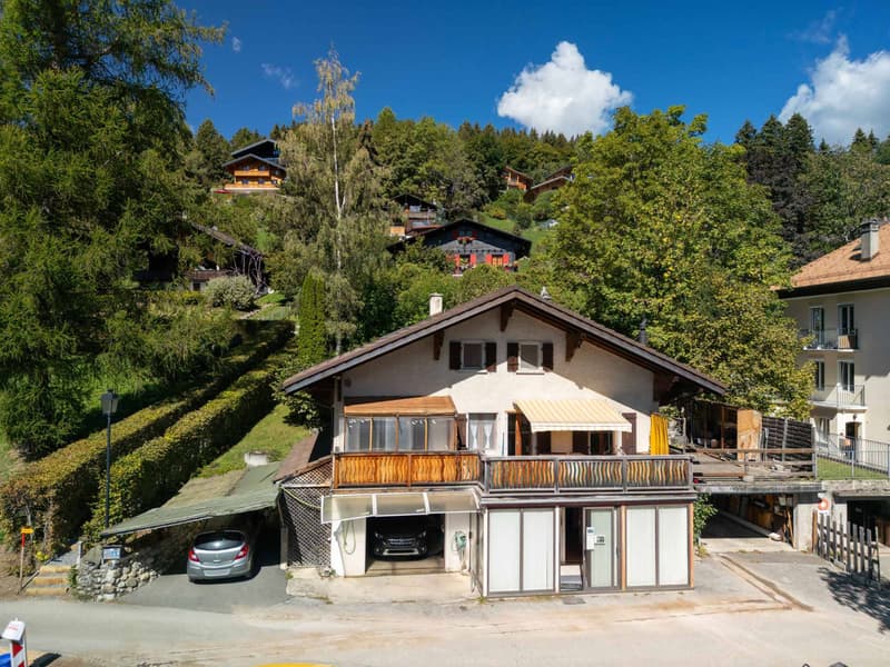 Maison de 2 appartements à la vue imprenable (1)
