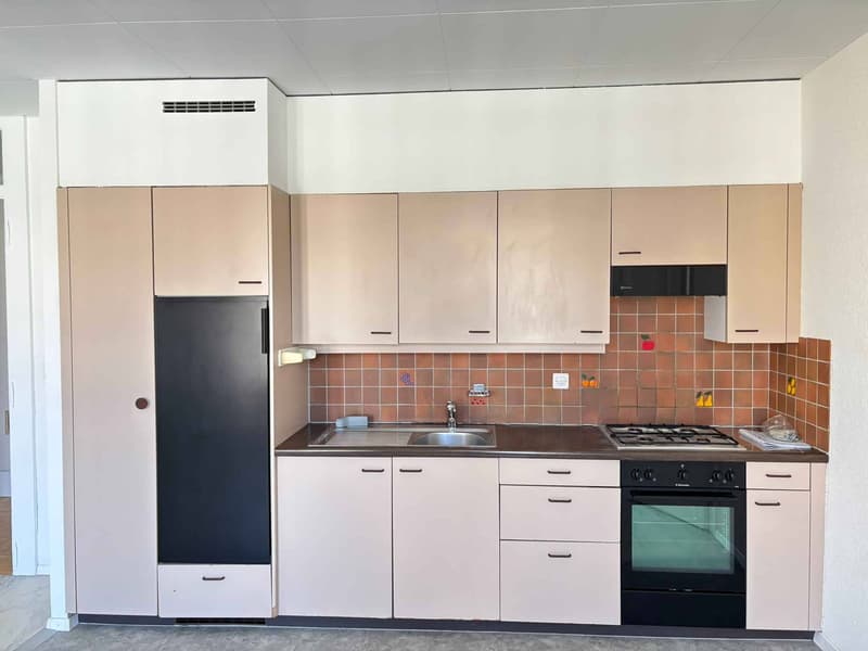 Grande appartamento di 3 locali nel centro di Losanna (7)