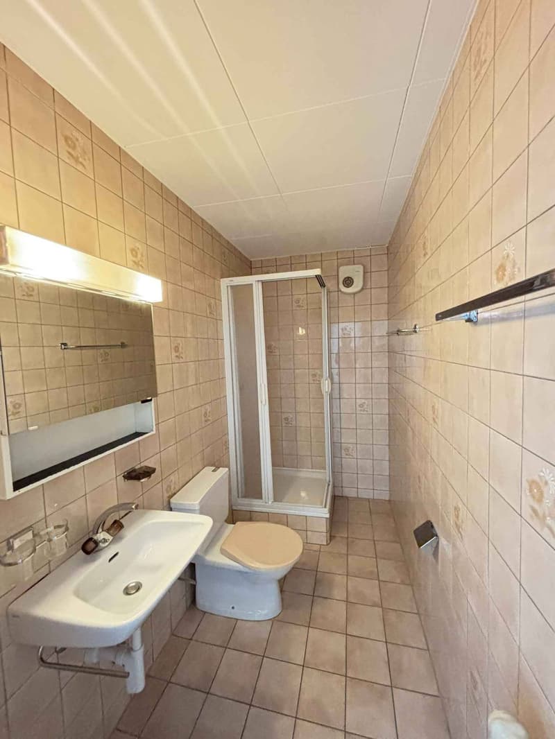 Grande appartamento di 3 locali nel centro di Losanna (8)