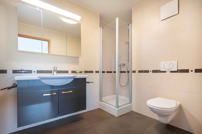 Spacious commercial space in Mont-sur-Lausanne of 115 m2 (10)