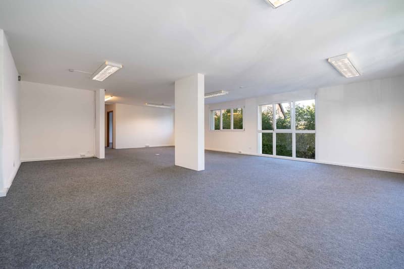 Spacious commercial space in Mont-sur-Lausanne of 115 m2 (9)