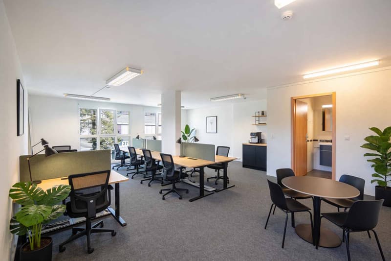 Spacious commercial space in Mont-sur-Lausanne of 115 m2 (4)