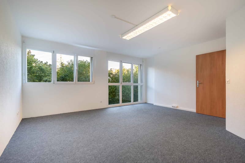 Spacious commercial space in Mont-sur-Lausanne of 115 m2 (6)