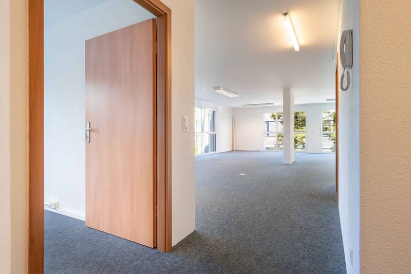 Spacious commercial space in Mont-sur-Lausanne of 115 m2 (5)