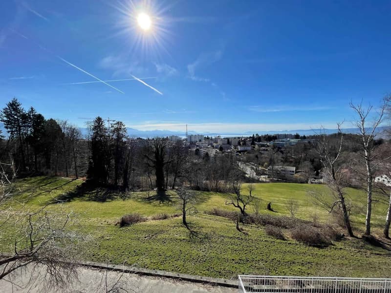 Magnifica villa con piscina a Epalinges (3)