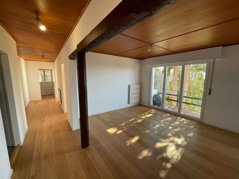 Magnifica villa con piscina a Epalinges (11)