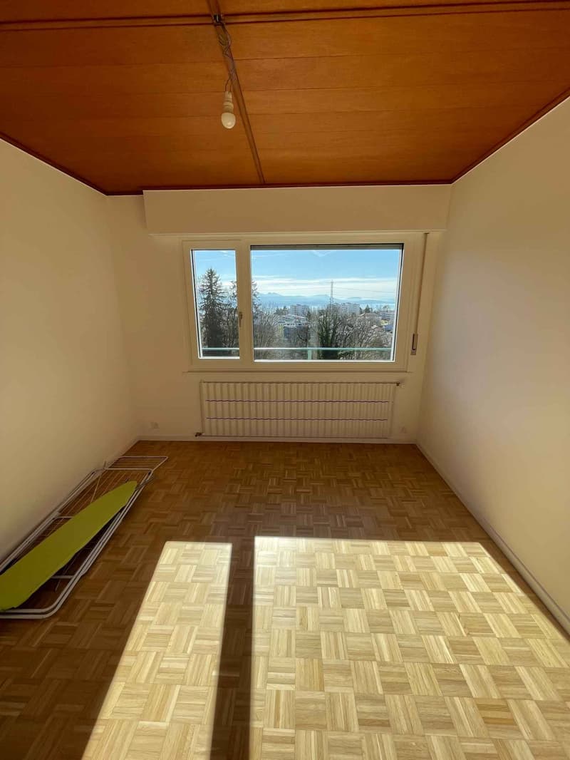 Magnifica villa con piscina a Epalinges (12)