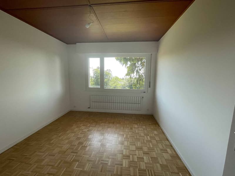 Magnifica villa con piscina a Epalinges (11)