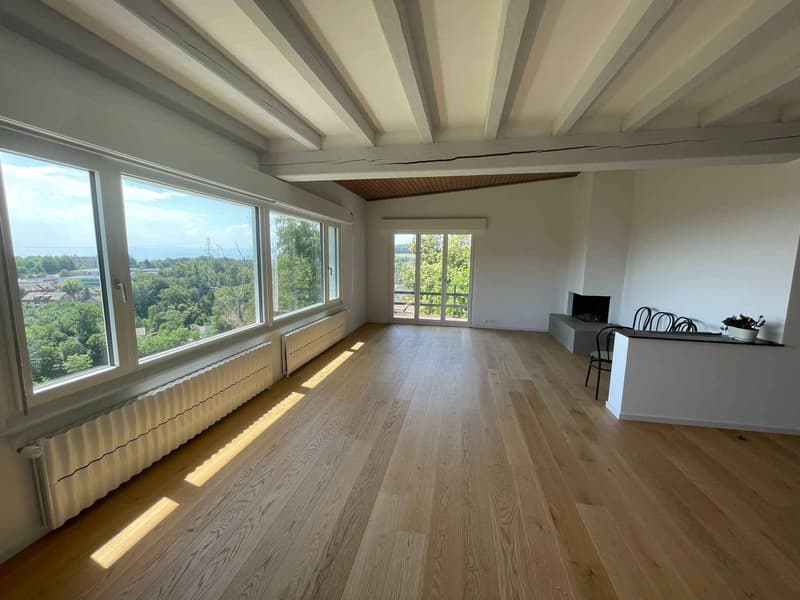 Magnifica villa con piscina a Epalinges (10)