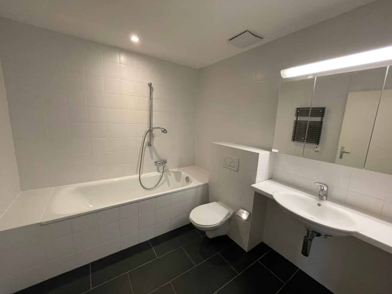 Magnifique loft lumineux de 88 m2 à Lausanne - Quartier sous-gare (7)