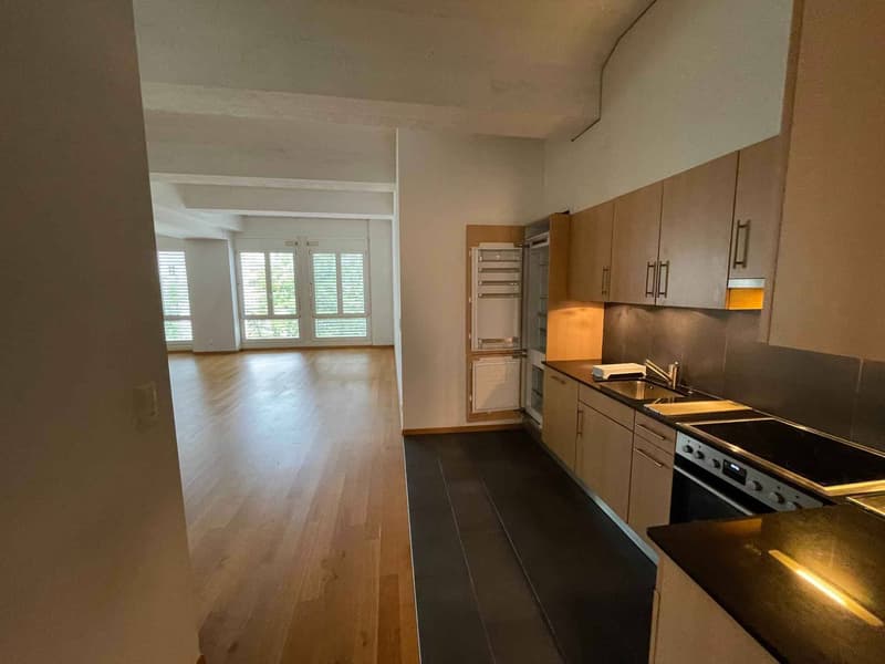 Magnifique loft lumineux de 88 m2 à Lausanne - Quartier sous-gare (4)