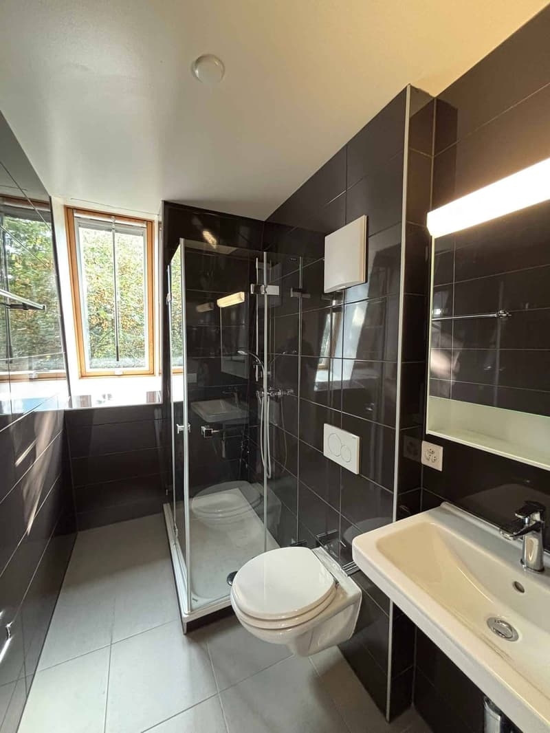 Bel appartement de 4,5 pièces en attique au centre de Lausanne (7)