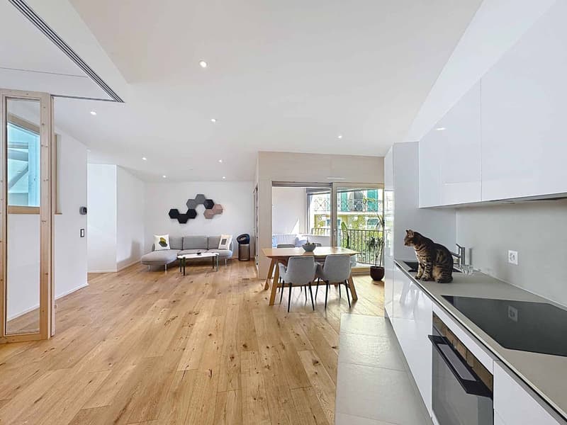 2.5 rooms Loft Style with Loggia - Ultra Central (4)