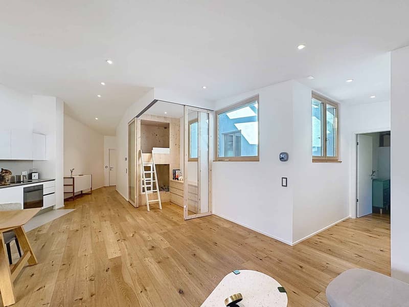 2.5 rooms Loft Style with Loggia - Ultra Central (5)