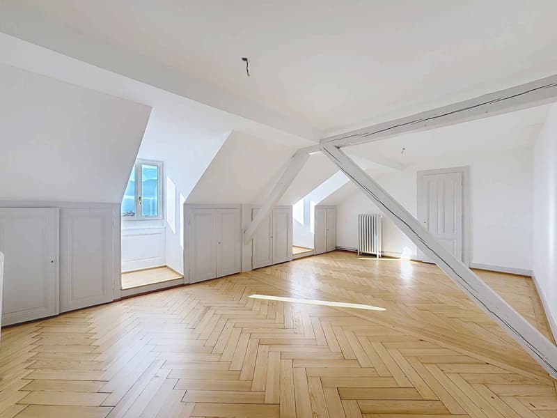 Beautiful 2.5-room apartment of 130 m2 living space - Top floor (9)