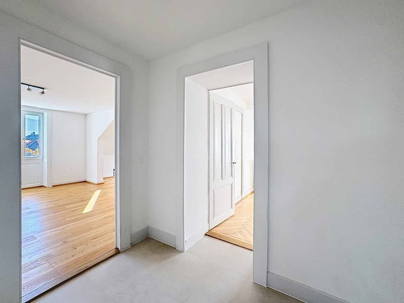 Beautiful 2.5-room apartment of 130 m2 living space - Top floor (11)
