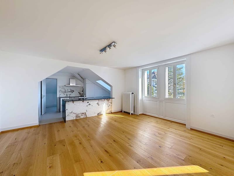 Beautiful 2.5-room apartment of 130 m2 living space - Top floor (4)
