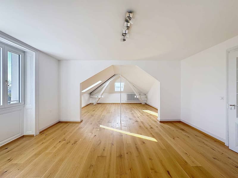 Beautiful 2.5-room apartment of 130 m2 living space - Top floor (2)