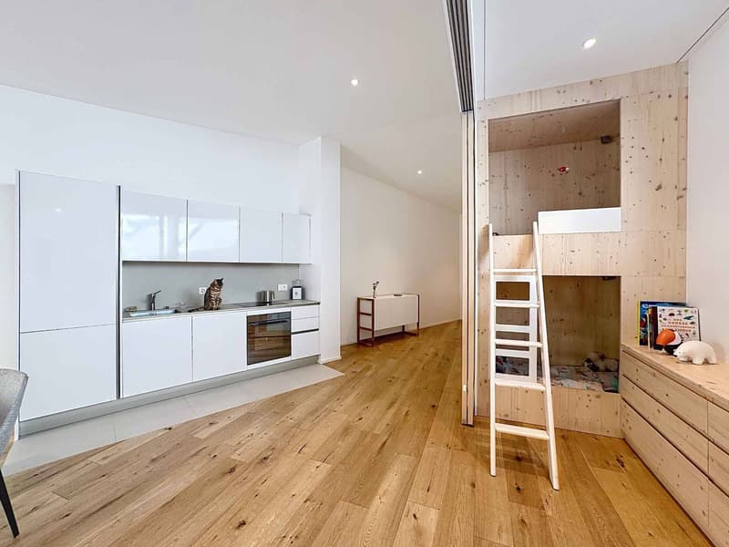 2.5 rooms Loft Style with Loggia - Ultra Central (6)