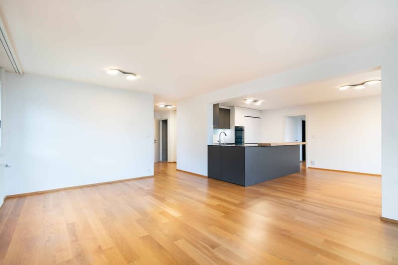Superbes 5,5 Zimmer, 133 m2, magnifiziert renoviert mit großem Balkon (3)
