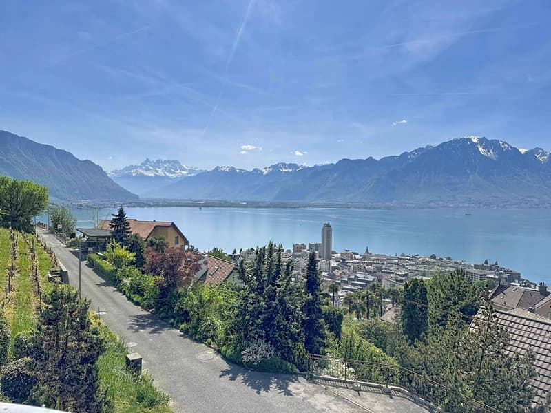 Meraviglioso appartamento di 2 locali di 65,7 m2 con balconi + grande locale indipendente (1)