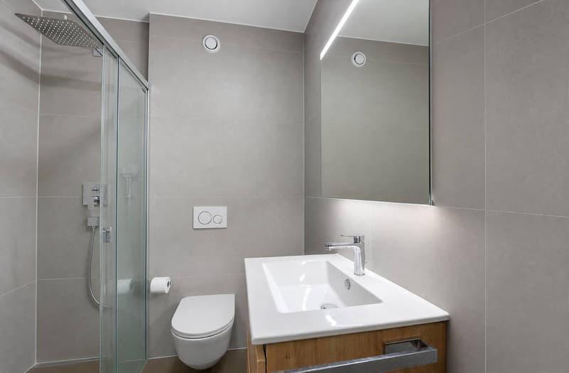 Bello appartamento recente di 3.5 locali con ampio balcone e vista sul lago (8)