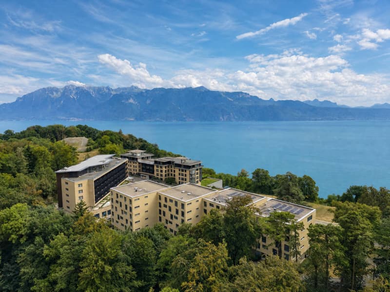 Bello appartamento recente di 3.5 locali con ampio balcone e vista sul lago (3)