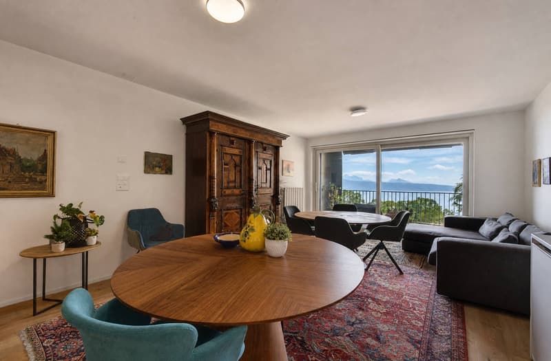 Bello appartamento recente di 3.5 locali con ampio balcone e vista sul lago (4)