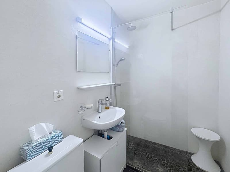 Appartement mit 1 Zimmer - 33,5 m2 mit großem Balkon und Garagenbox (9)