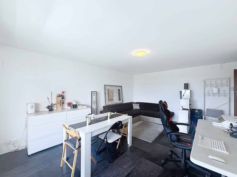 Appartement mit 1 Zimmer - 33,5 m2 mit großem Balkon und Garagenbox (4)
